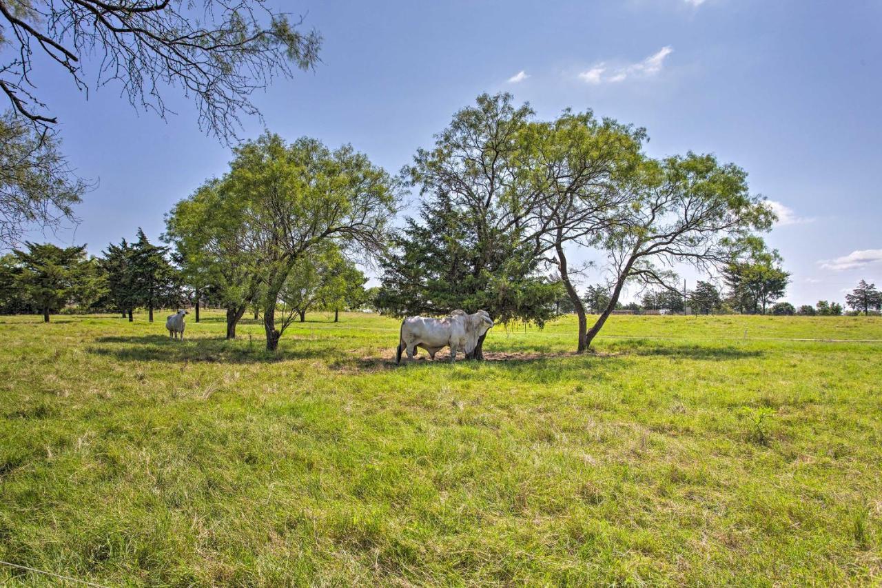 Collinsville Texas Cabin On 130 Acres Walk To Lake Ray Roberts מראה חיצוני תמונה