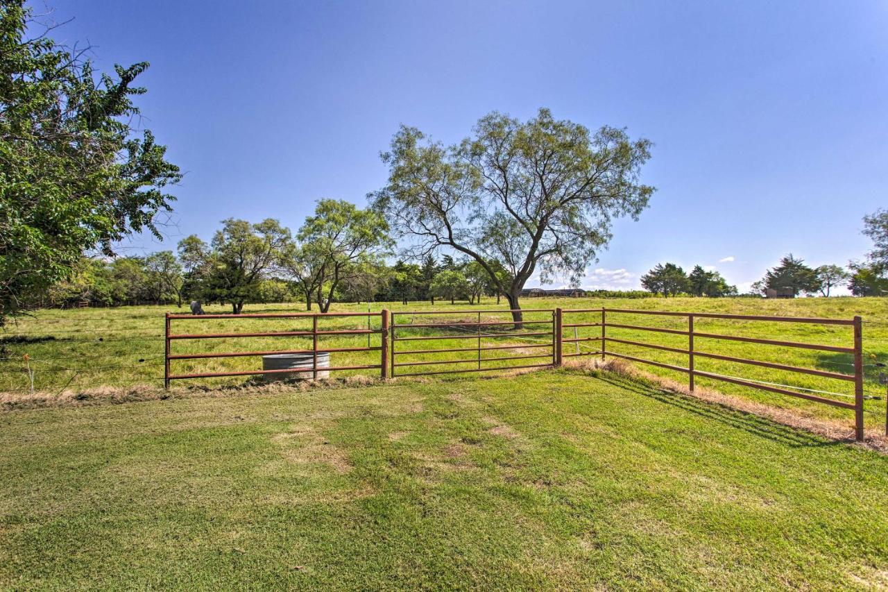 Collinsville Texas Cabin On 130 Acres Walk To Lake Ray Roberts מראה חיצוני תמונה